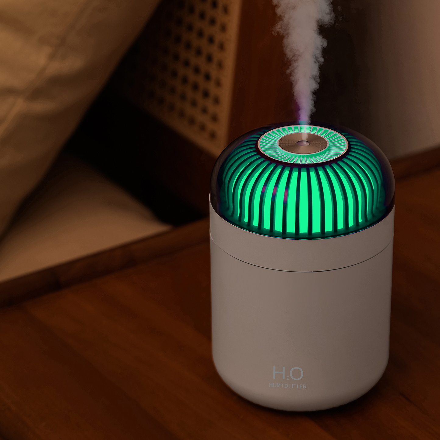 Portable LED Night Light Humidifier