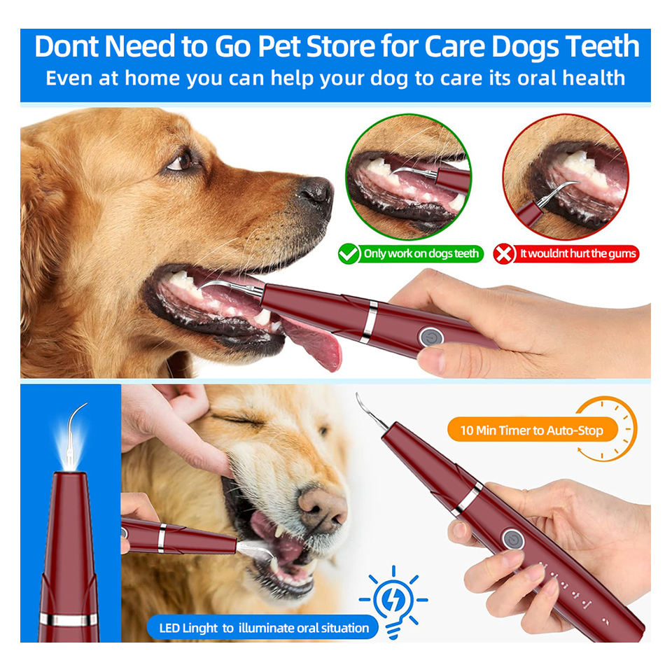 Portable Ultrasonic Electric Tooth Cleaner