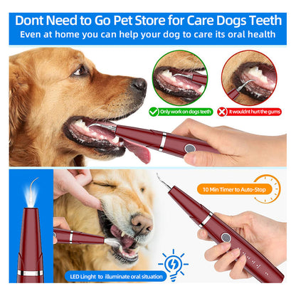 Portable Ultrasonic Electric Tooth Cleaner