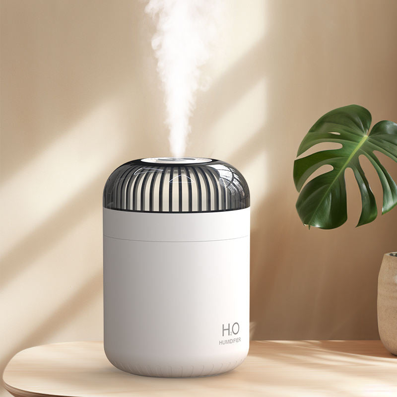 Portable LED Night Light Humidifier