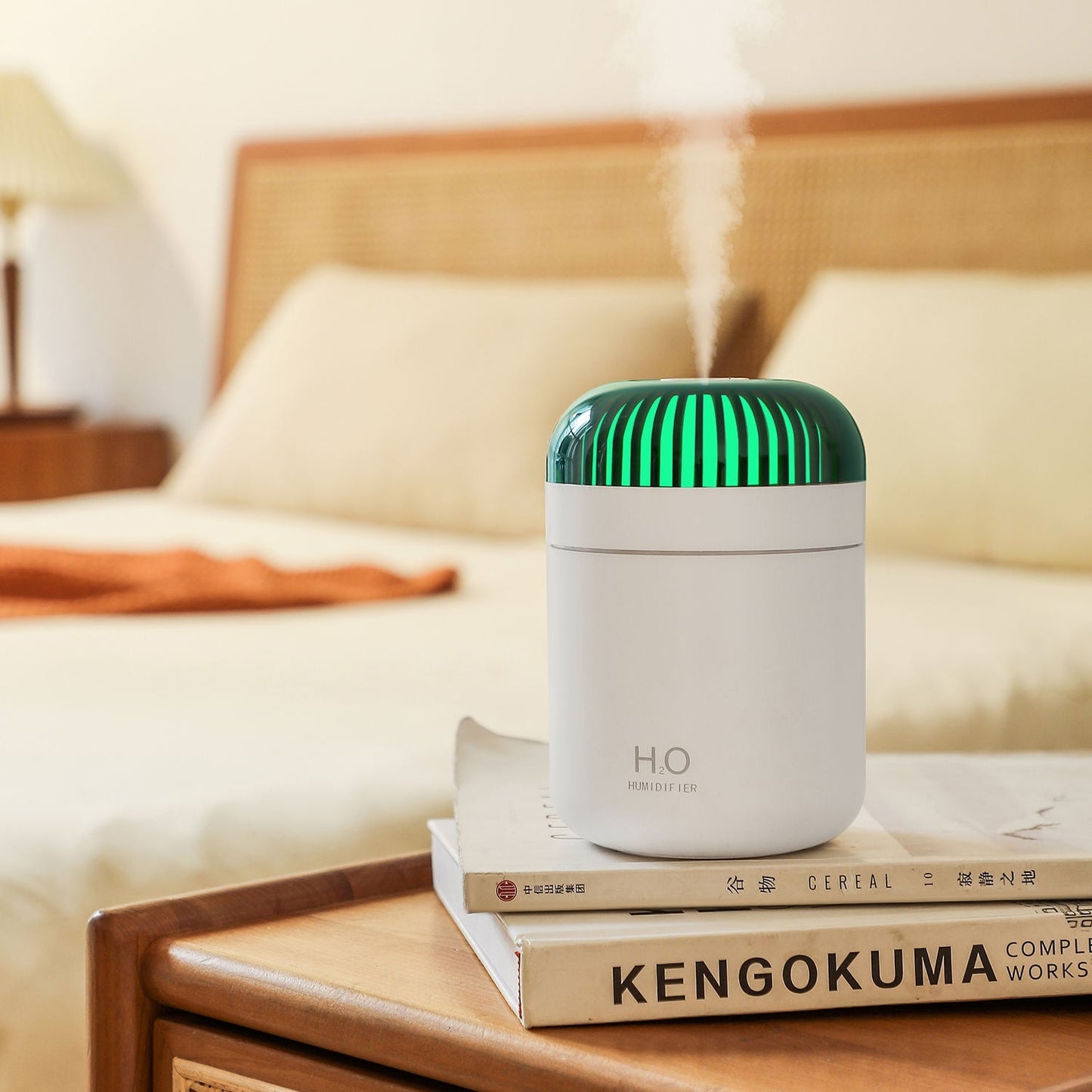 Portable LED Night Light Humidifier